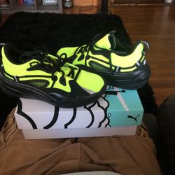 Puma Dreamers