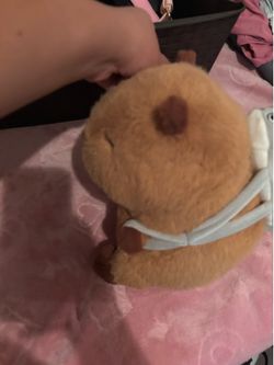 Cabybara plushie