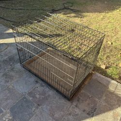 Dog Cage 