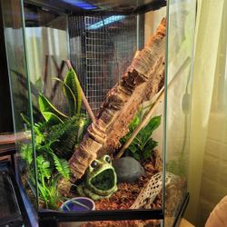 Front Opening Hexagon Terrarium 