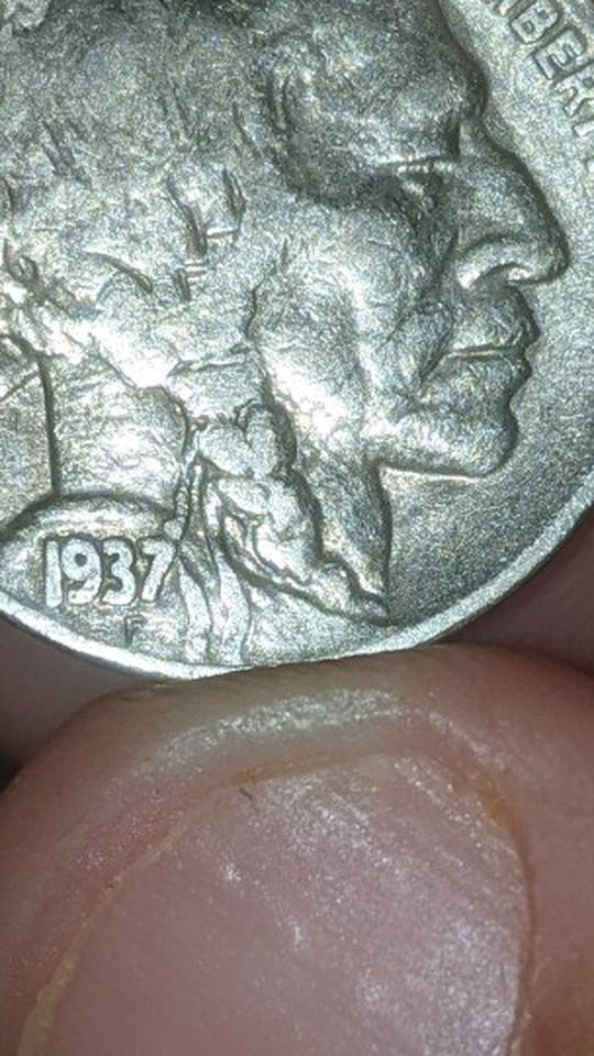 Buffalo Nickel