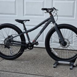 Rei Co-op 24 Bike 