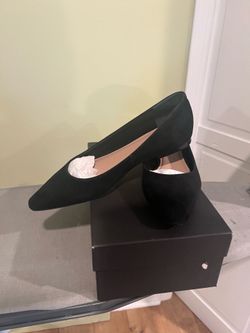 Banana Republic flats