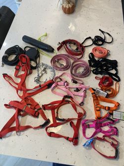 Dog Leashes and Collars Bundle 