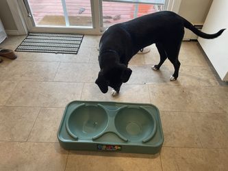 OurPets Big Dog Feeder