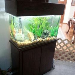 Acrylic  and Oak base and Hood Fish Tank