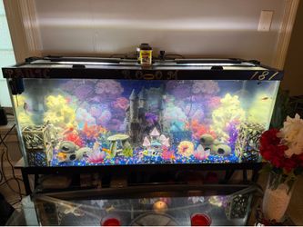 Selling my 75 gallon fish tank