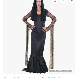 Costume Size Medium With Wig 