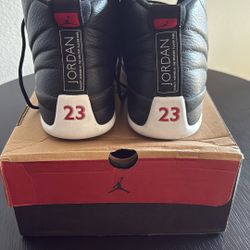 Jordan 12 Playoffs 