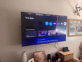TCL 55 in. TV