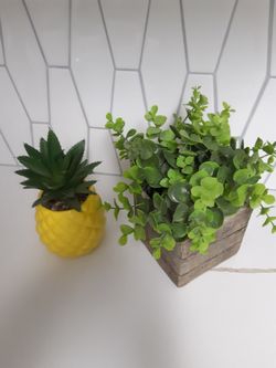 Fake Plants $5 Each