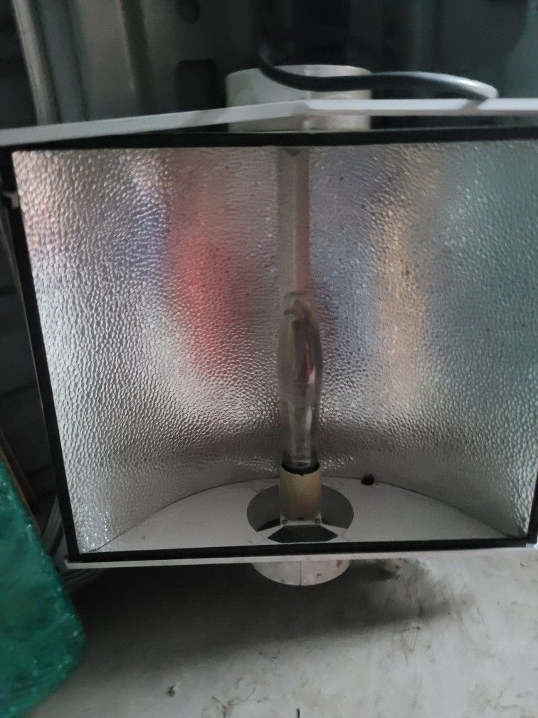 Grow Lamp for Sale!