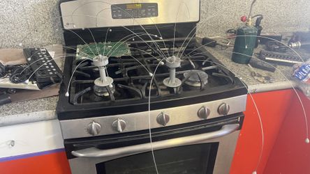 Bird Control Barrier Daddy Long Legs