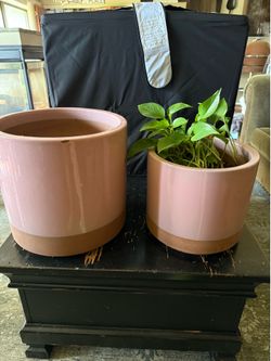 Planters pink terracotta pots