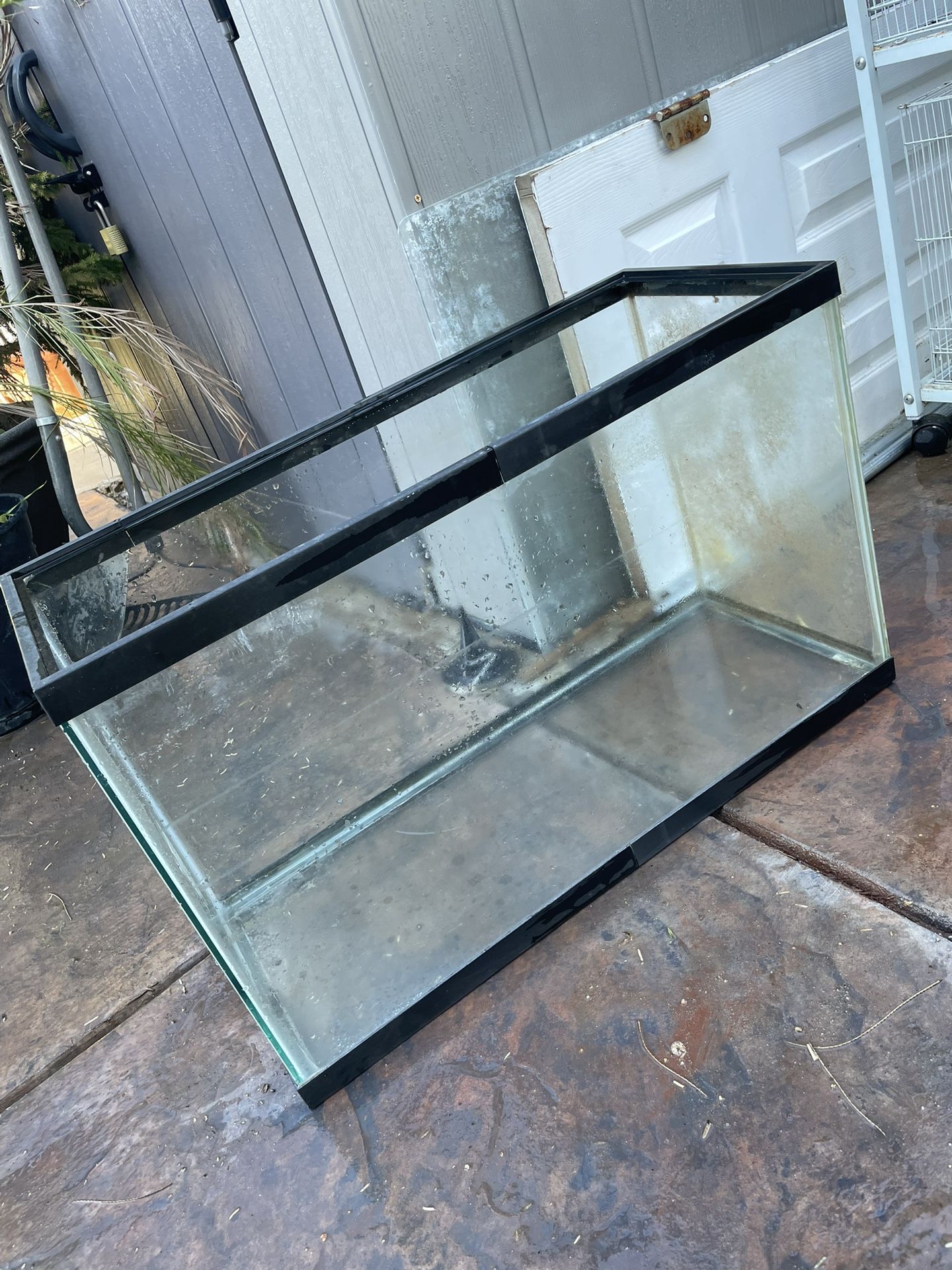 Fish Tank 