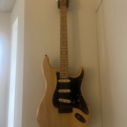Strat Style Custom Build 