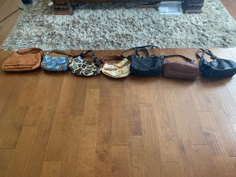 Coach and Dooney & Bourke purses