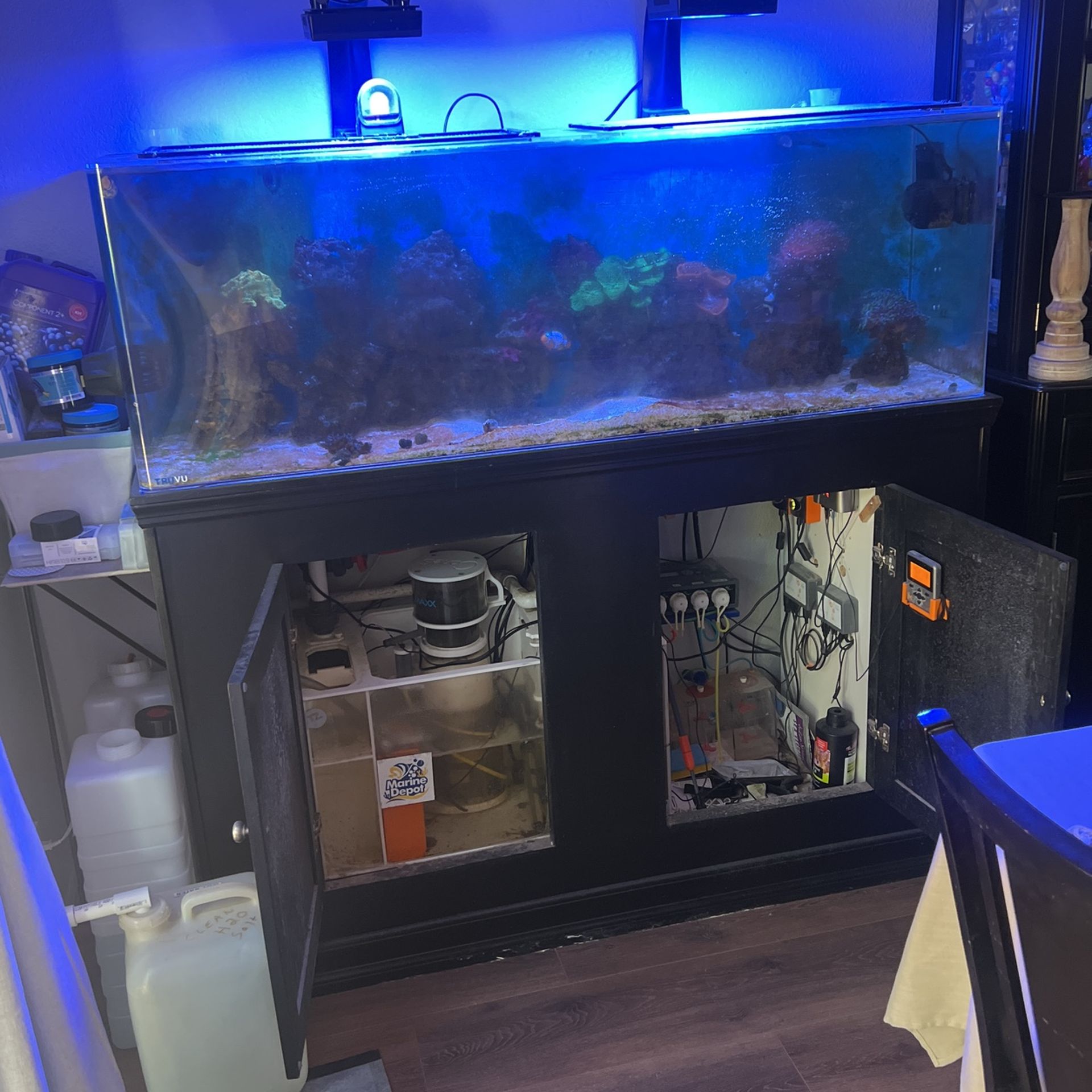 Fish Tank Pet supplies