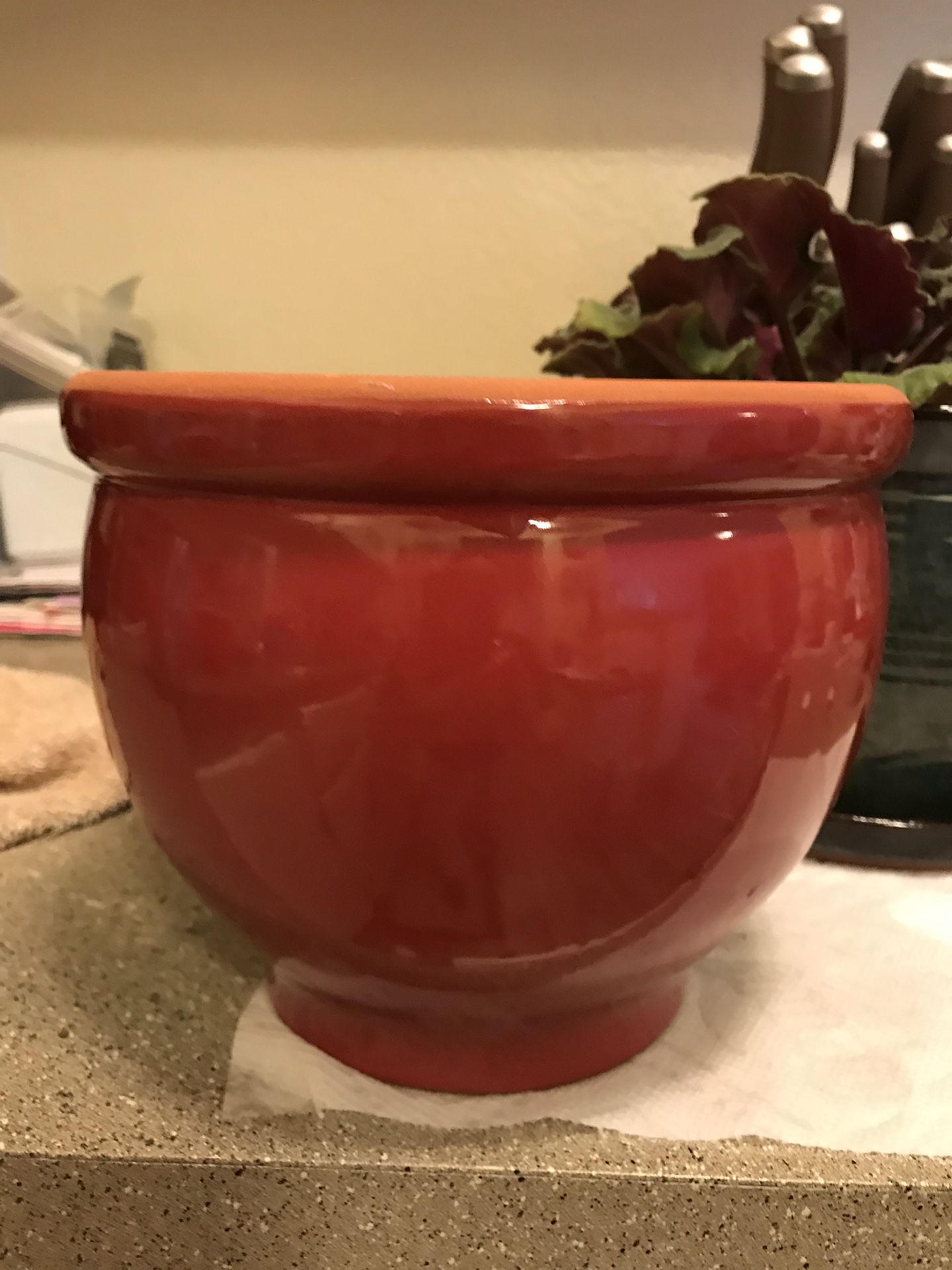 Red flower pot