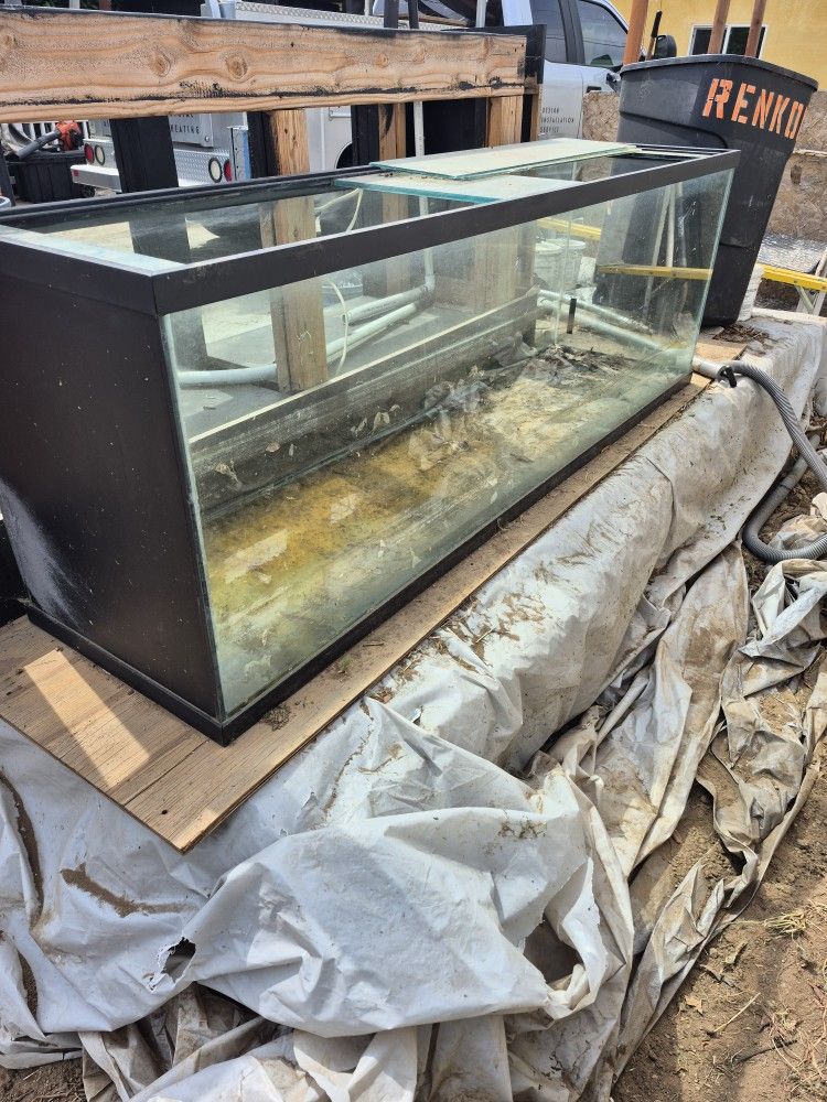 Free Fish Tank