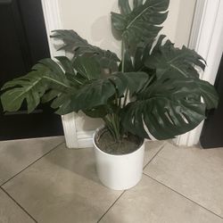 Artificial Plant 