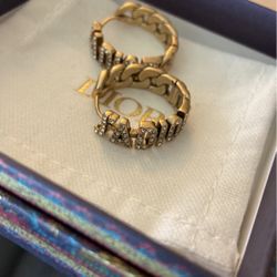 Dior Earrings