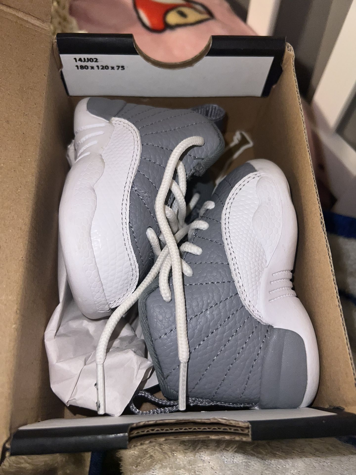 Baby Jordan 12s 3C