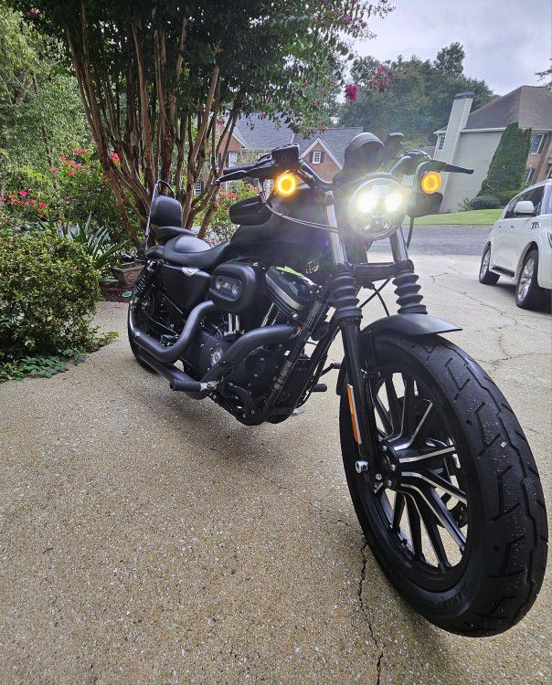 2015 Harley davidson Sportster 883 Iron