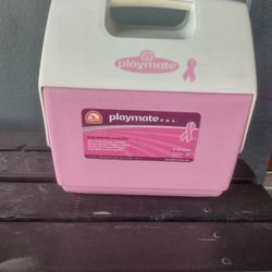 Ice Cooler $20.00 In Donna Inside The City Not Far From Old 