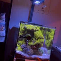 Waterbox 25 Peninsula With Stand