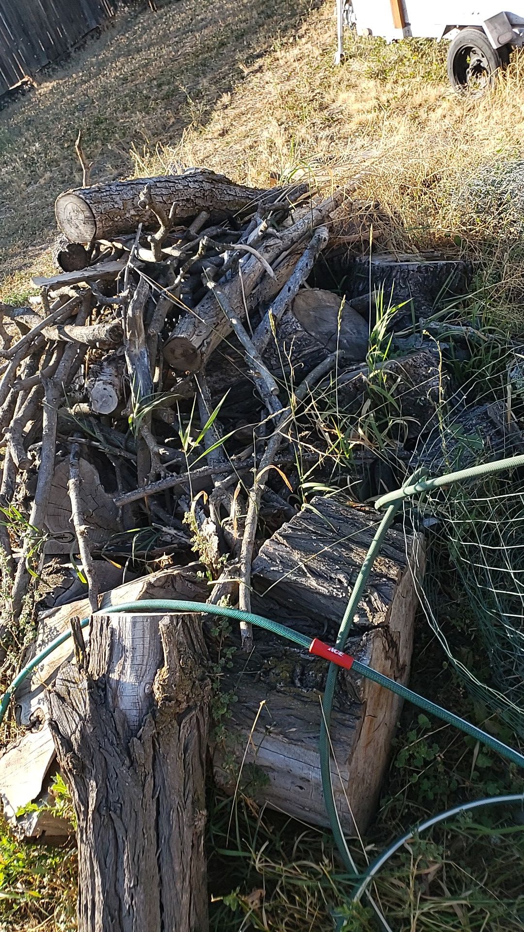 Tons of fire wood for bbqing or camping