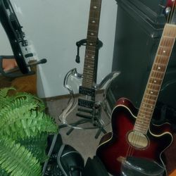 Lucite Bc Rich Mockingbird New