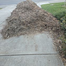 Free mulch pile