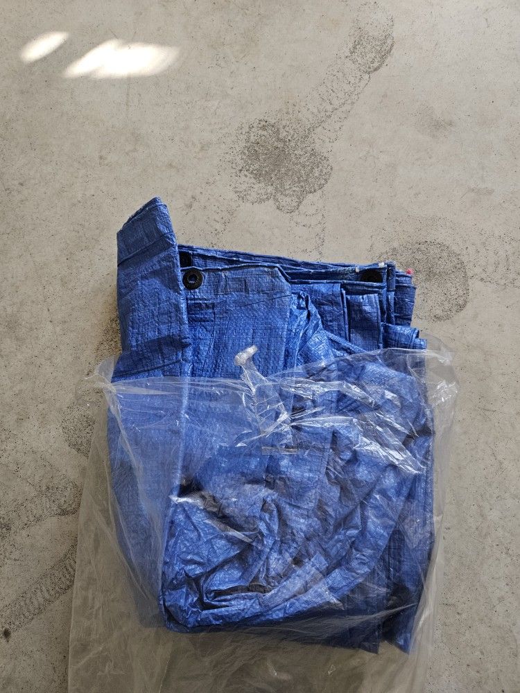 Tarp