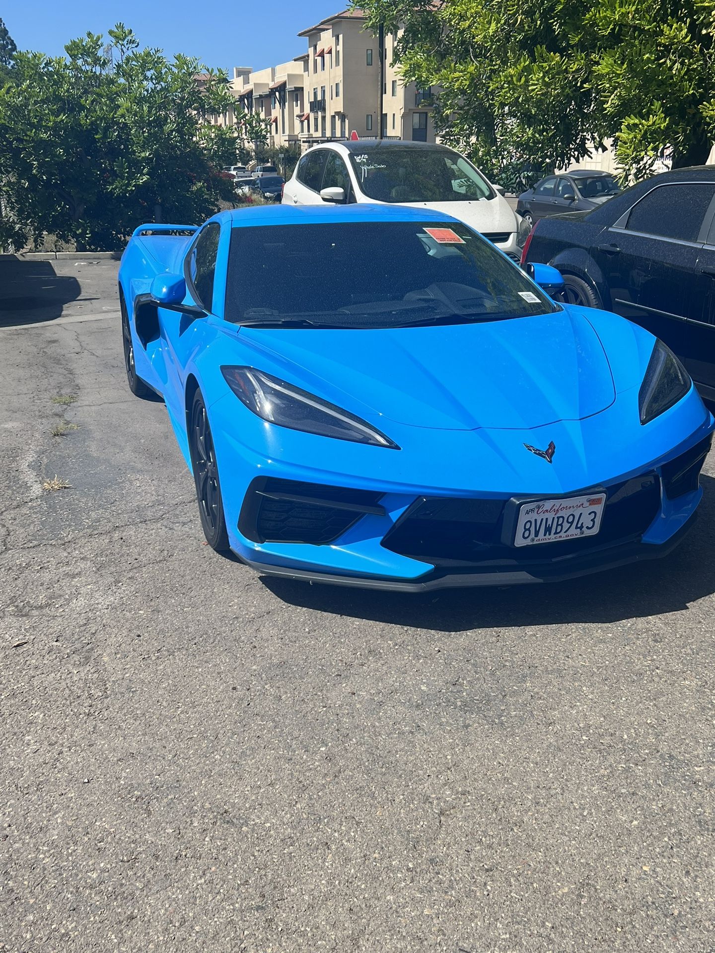 Blow Out Sale New Dealship Grand Opening