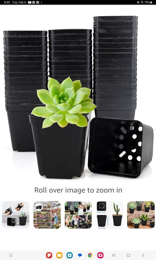 50 Pcs 2.5x2.5 Inch Square Pots For Plants