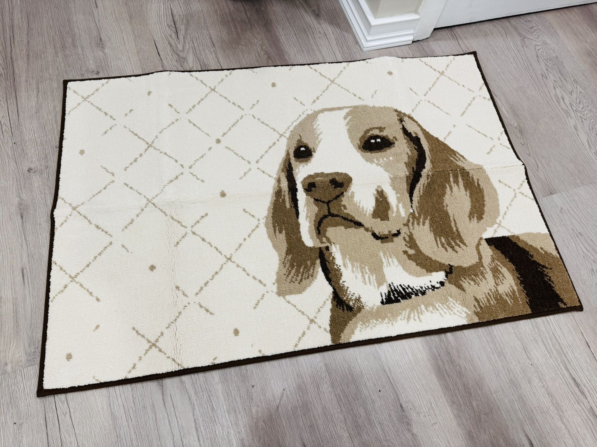 Entry Door Mat - Indoor - Brand New- 32”* 48”