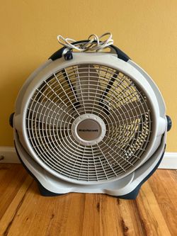 Fan