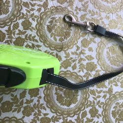 Brand New Dill Dog Leash Green 5 M