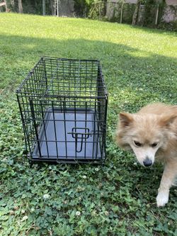 Dog Cage Kennel For Small Dogs