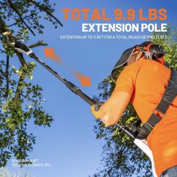 Pole Saw Battery Powered for Tree Trimming, 8'' Electric Cordless Pole Chain Saw