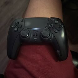 PS5 Battle Beaver