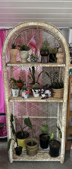 Wicker Plant Shelf Unit 
