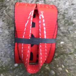 Tie Down 5000 LB Strap