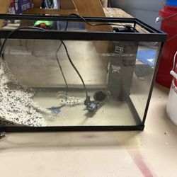 10 Gallon Fish Tank 