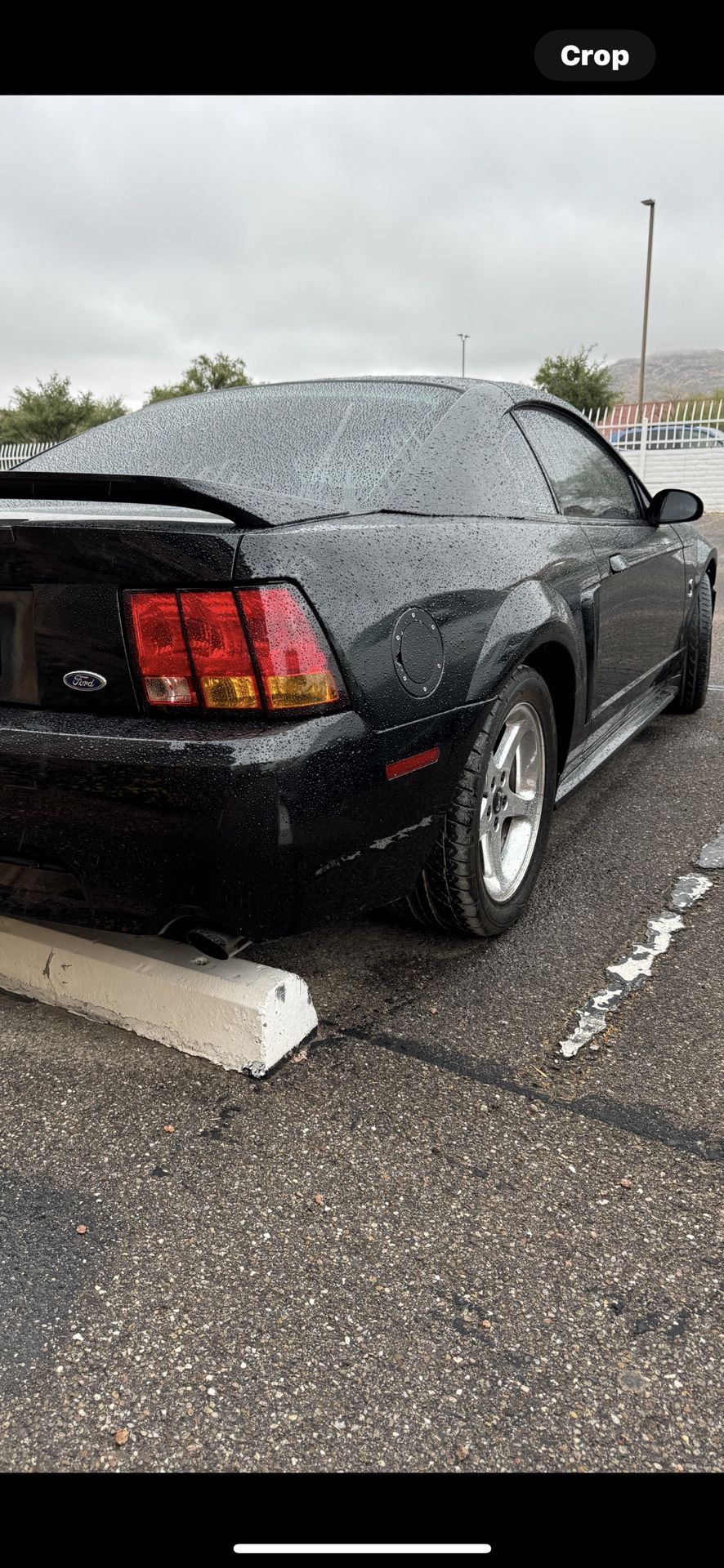 SVT Cobra Amber Taillights