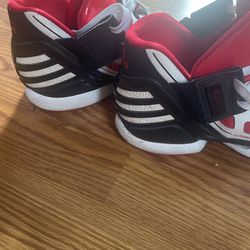 Adidas Derrick Rose Size 11 All Flights Cancelled for Sale Chicago, IL - OfferUp