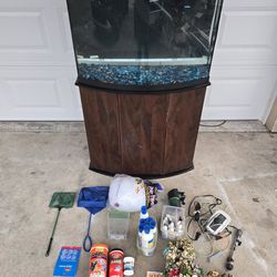 40 gallon Bow front aquarium.