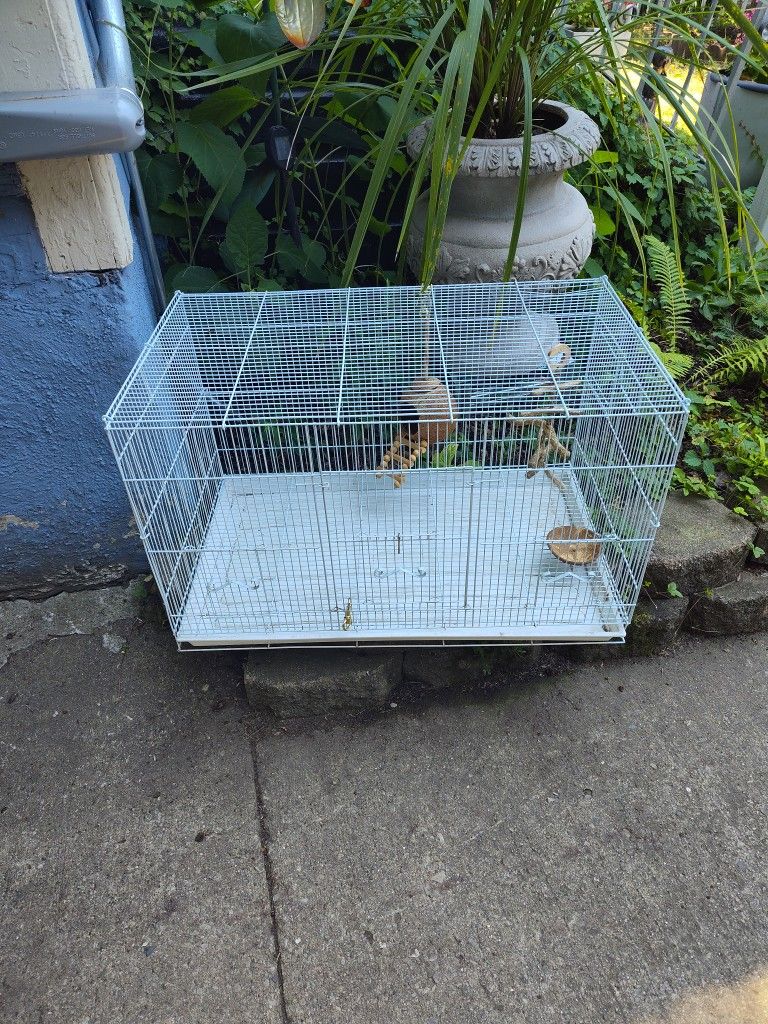 🐦 Bird Cage