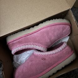 Tasman Uggs